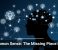 Common Sense: The Missing Piece in AI